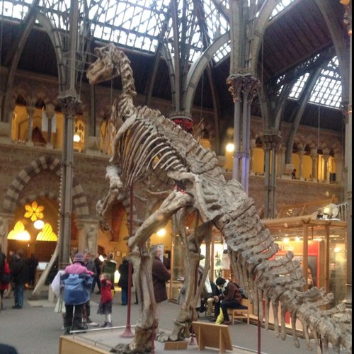 NaweedHussain1's profile picture. 