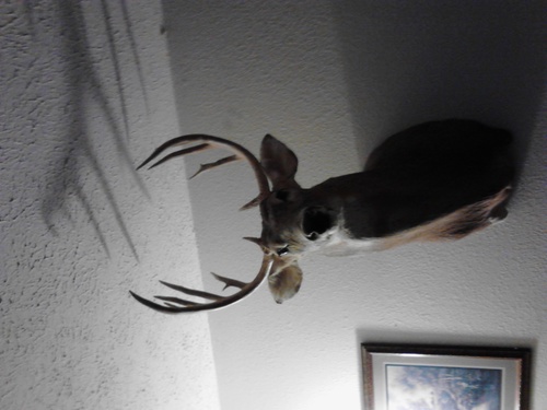 Softball, Nascar, Huntin, Fishin, Football. My kids and wife. That's my life