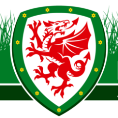 News updates from the FAW Safeguarding Team. Show you're onside when it comes to safeguarding children's welfare in football.