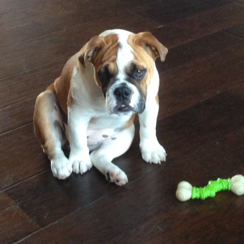 Tshollarnp's profile picture. 