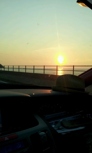 UnkoKenji's profile picture. 