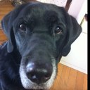 daniel-kobe - @ru7papa - Twitter