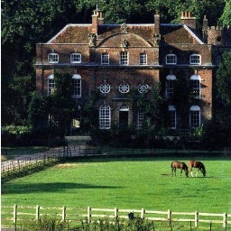 BiddesdenStud's profile picture. Arab, Anglo and Part-Bred Arab Stud Est. 1939
http://t.co/vW3lltmU