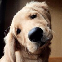 sianghong (@uxperience73) 's Twitter Profile