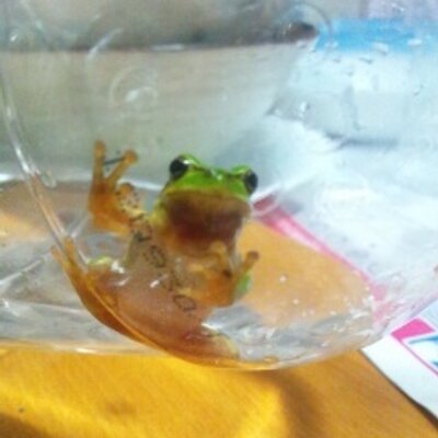 藤森 仁