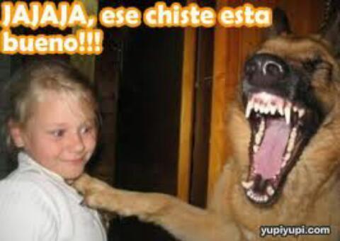 Gracia_JA's profile picture. 