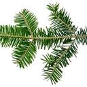 dan neumann - @danneumann3 - Twitter