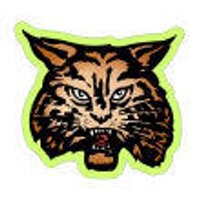 HHS Athletics (@hobbtonsports) 's Twitter Profile