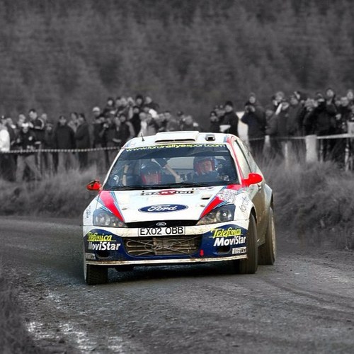 Anything and Everything Rally!