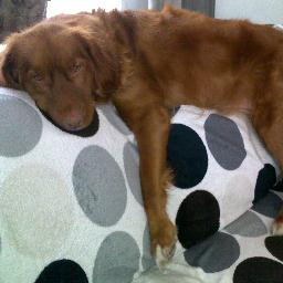 getrouwd met fred, 2 dochters, famke en meike* (05/07/01-31/12/06 SMA). actief voor de VSN ouderwebsite. mijn motto: leef vandaag, morgen kan alles anders zijn!