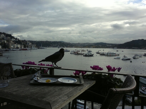 Bodrum'da çalışıyor ama kalbini uzaklarda bırakmış.... mi única patria es el mundo....