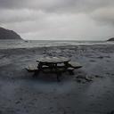 Anne-Linn Almenning - @annalme - Twitter