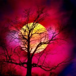 albertadrrtgrrl's profile picture. Ultra-eco, Compost-making, Natural-farming, Permie who unfortunately swallowed the red pill. Wish I could go back.. Now just trying to deal with it.