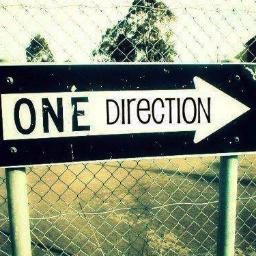 ∞ ♥ I'm Francesca im 12 and i'm an italian Directioner  ♥ proud to be♥ Harry Styles ♥ Niall Horan ♥ Zayn Malik ♥ Louis Tomlison ♥ Liam Payne ♥ ∞