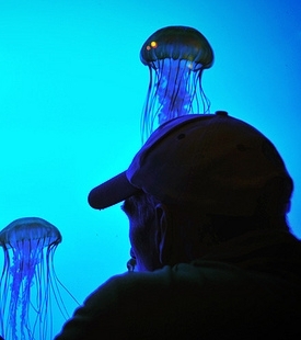 mikeward4's profile picture. 