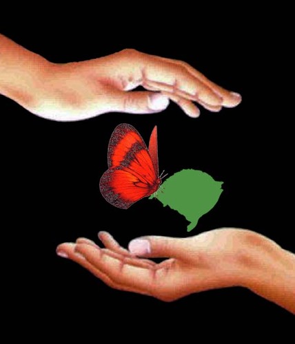 A Confraria da Beleza RS é movida por muita maquiagem, perfume e alegria, e possui forte temperamento. isto fez com que a Confraria tivesse seu início.