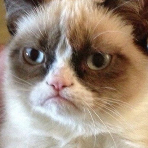 Leaptad's profile picture. Losing weight on weight watchers. Mom to two.