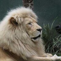 Captain D (@detzel_mike) 's Twitter Profile