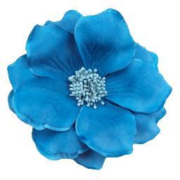 5NN_NI's profile picture. Promoting citizenship education across Ireland and the UK