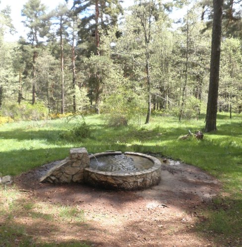 CityHoyocasero's profile picture. ESTA CUENTA NO ESTA OPERATIVA sigue a @_HOYOCASERO_ ESTA SERA LA NUEVA CUENTA DE NUESTRO PUEBLO. Perdonar las molestias y os esperamos en @_HOYOCASERO_