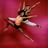 AOTDC's profile image