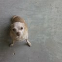 Kyle Robnett - @Chipdiss - Twitter