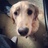 Chasd36's profile image