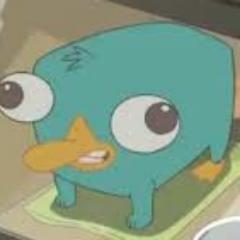 sígueme  y te sigo sígueme  y te sigo sígueme  y te sigo sígueme  y te sigo sígueme  y te sigo sígueme  y te sigo