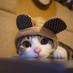 Mat6128 (@mat6128) Twitter profile photo Mat6128 (@mat6128) Twitter profile photo