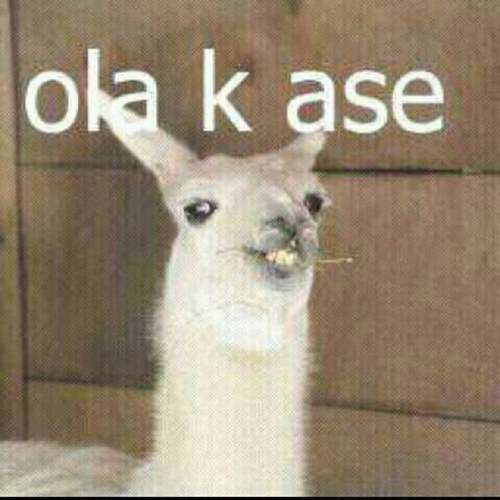 Una sonrisa en mi rostro no significa la ausencia de problemas, sino la capacidad de ser feliz por encima de ellos.