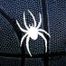 RVA Spider News (@rvaspidernews) Twitter profile photo