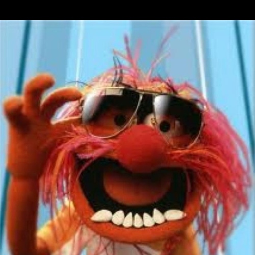 Crazydoesit's profile picture. SWF seeking others pursuing a degree in sarcasm, practical jokes or reality tv. Must love dogs &the word fuck. I'm also an Air Force Mom. #voteblue