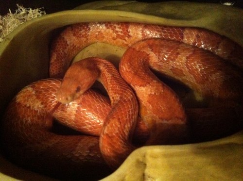 gibbs7508's profile picture. 