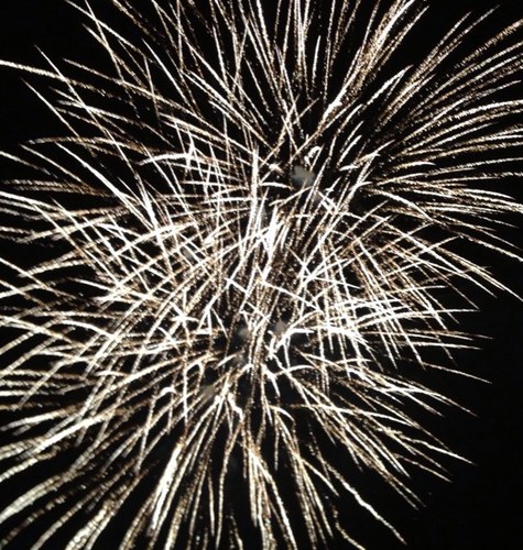 strictlyzoe's profile picture. Lover of all media, food and my family oh and the odd cat YouTube video