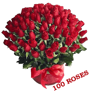 spatje's profile picture. 