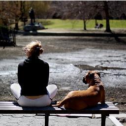 Entrepreneur who runs her own doggy photography business, writer at Purebred Breeders LLC. http://t.co/t3pQ2QmN