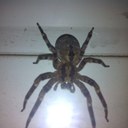 Raphael Sanchez - @RaphaelSanchez9 - Twitter