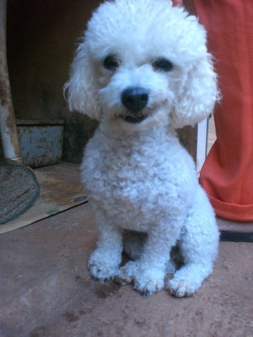 polypoly__'s profile picture. 