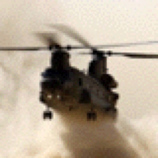 exilemitch's profile picture. 