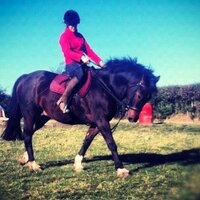 Dr Amy Hulson-Jones (@hulsonjones) 's Twitter Profile