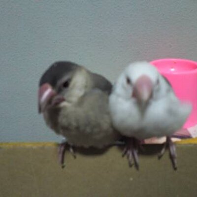 山元遊気 京都の尊師 ペダラーダ 路地裏サッカー ここから 世界に羽ばたく ドリブラー Dear My 尊師 場所 Kyoto Japan T Co Rxka4v8vvj 山元遊気 京都の尊師 ペダラーダ 路地裏サッカー ここから 世界に羽ばたく ドリブラー Dear My 尊師 場所 Kyoto Japan T Co Rxka4v8vvj