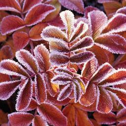 WIGrtDoddington's profile picture. We meet on the second Wednesday evening of the month in The Memorial Hall Great Doddington. A lively, friendly group.