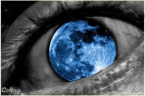 RadioIslam1's profile picture. 