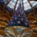 Janice Sharp - @blondeweekout - Twitter