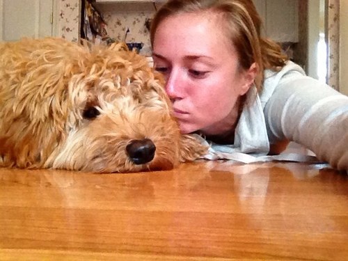 klancos's profile picture. 