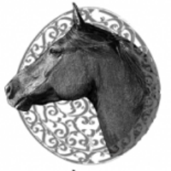 Nomoreworkhorse Profile Picture