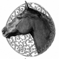 No More Workhorse (@nomoreworkhorse) 's Twitter Profile