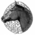 No More Workhorse (@nomoreworkhorse) Twitter profile photo No More Workhorse (@nomoreworkhorse) Twitter profile photo
