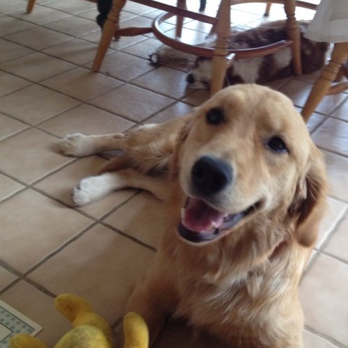 sepayton's profile picture. 