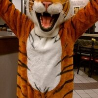 TappMS (@tapptigers) 's Twitter Profile